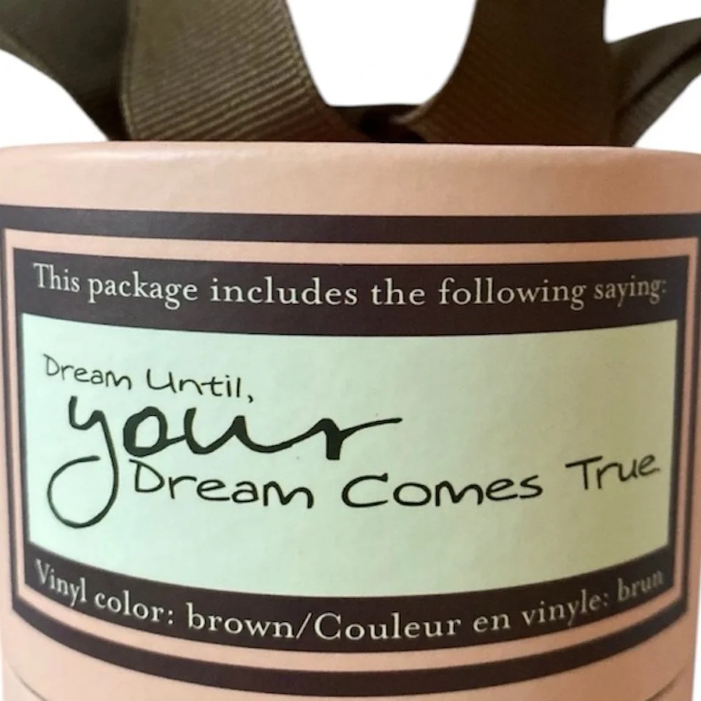 Removable Vinyl Lettering Wall Decor “Dream Until Your Dreams Come True”